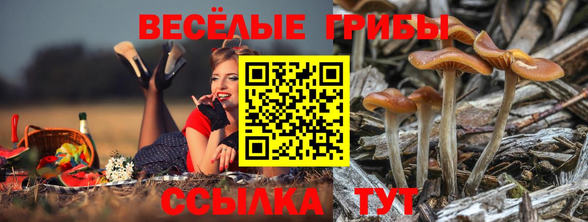 Псилоцибиновые грибы Magic Shrooms  Псилоцибиновые грибы Psilocybine cubensis  Вход с VPN  Ачхой-Мартан 
